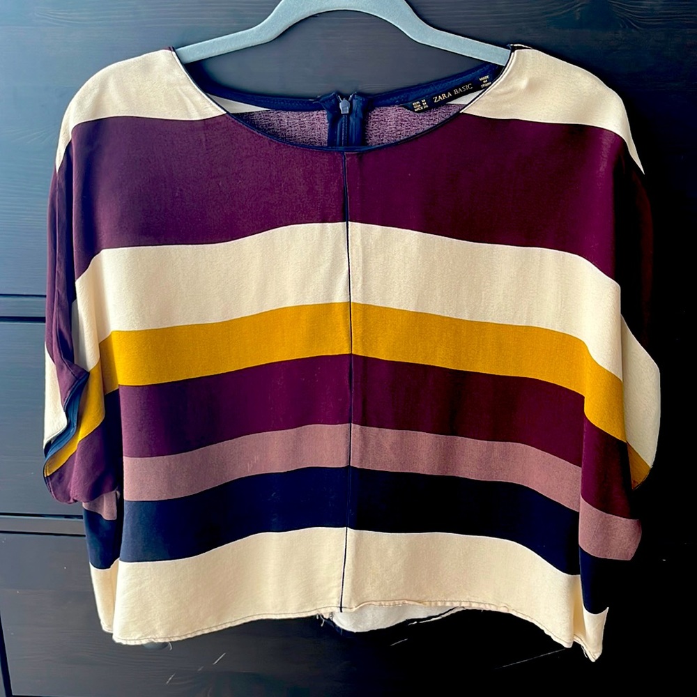 Zara Cropped top